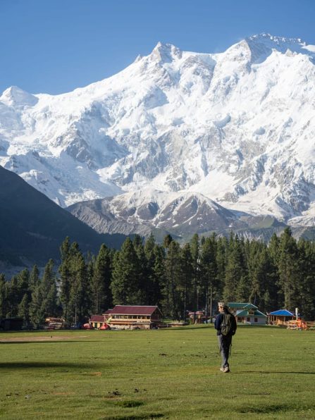 WhatsApp Image 2026-02-17 at 12.48.33 AM